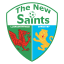 The New Saints FC