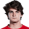 undefined Thiago Seyboth Wild