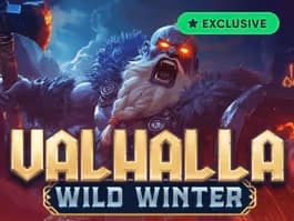 Valhalla: Wild Winter