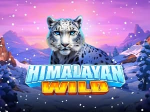 Himalayan Wild