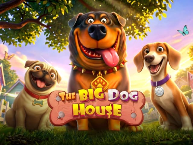 The Big Dog House