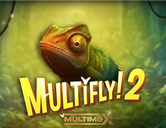 MultiFly 2